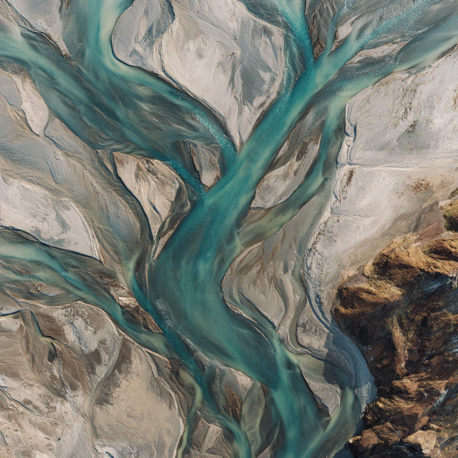 Wild Places and Wild Bodies